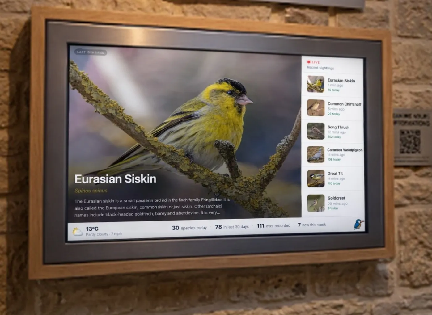 The Digital Bird Hide installed on site, pairing an acoustic monitor with a public-facing display of real-time bird detections