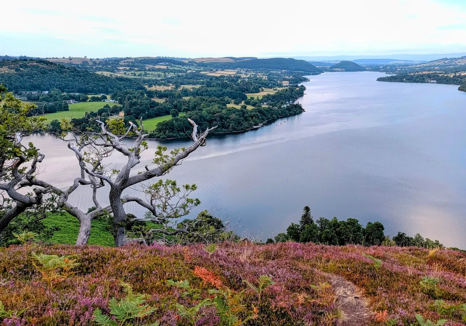 A view over a Lake District lake from a heather-covered hillside, the kind of landscape our monitors listen to