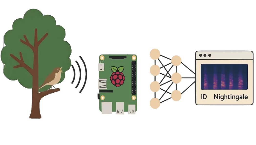 Beak Tech BirdNET system diagram