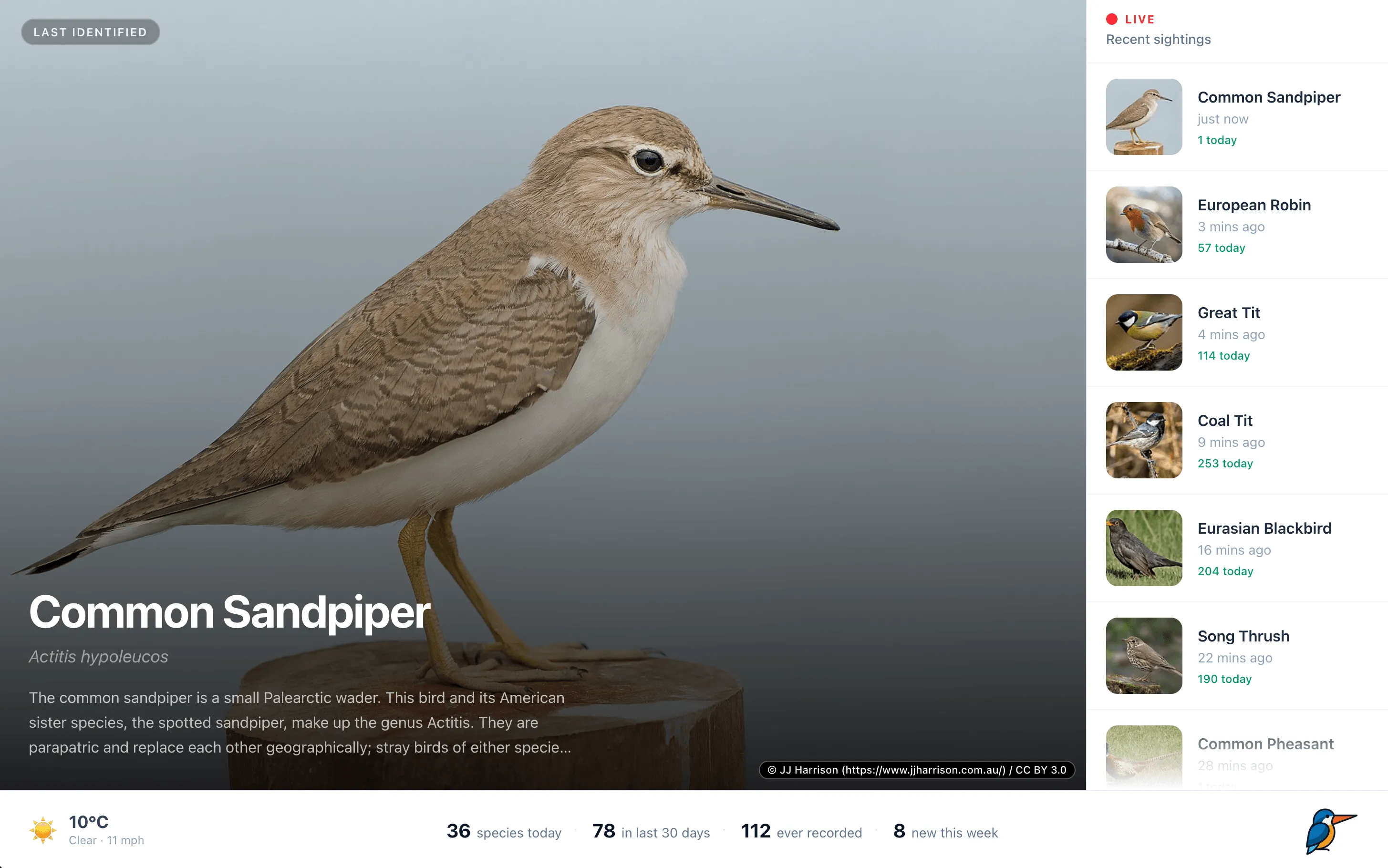 Beakwatch showing the most recently identified bird