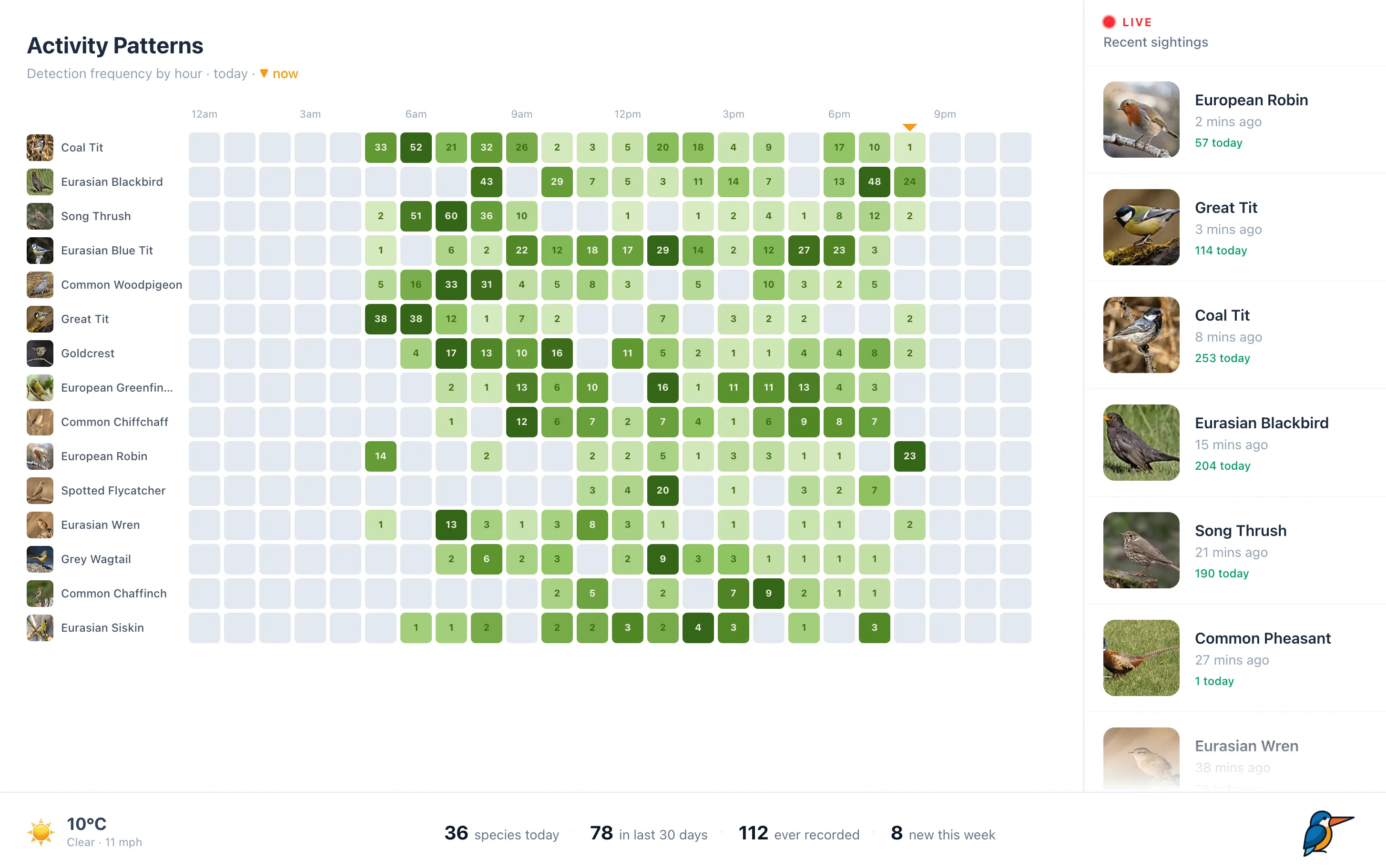 Activity patterns by hour