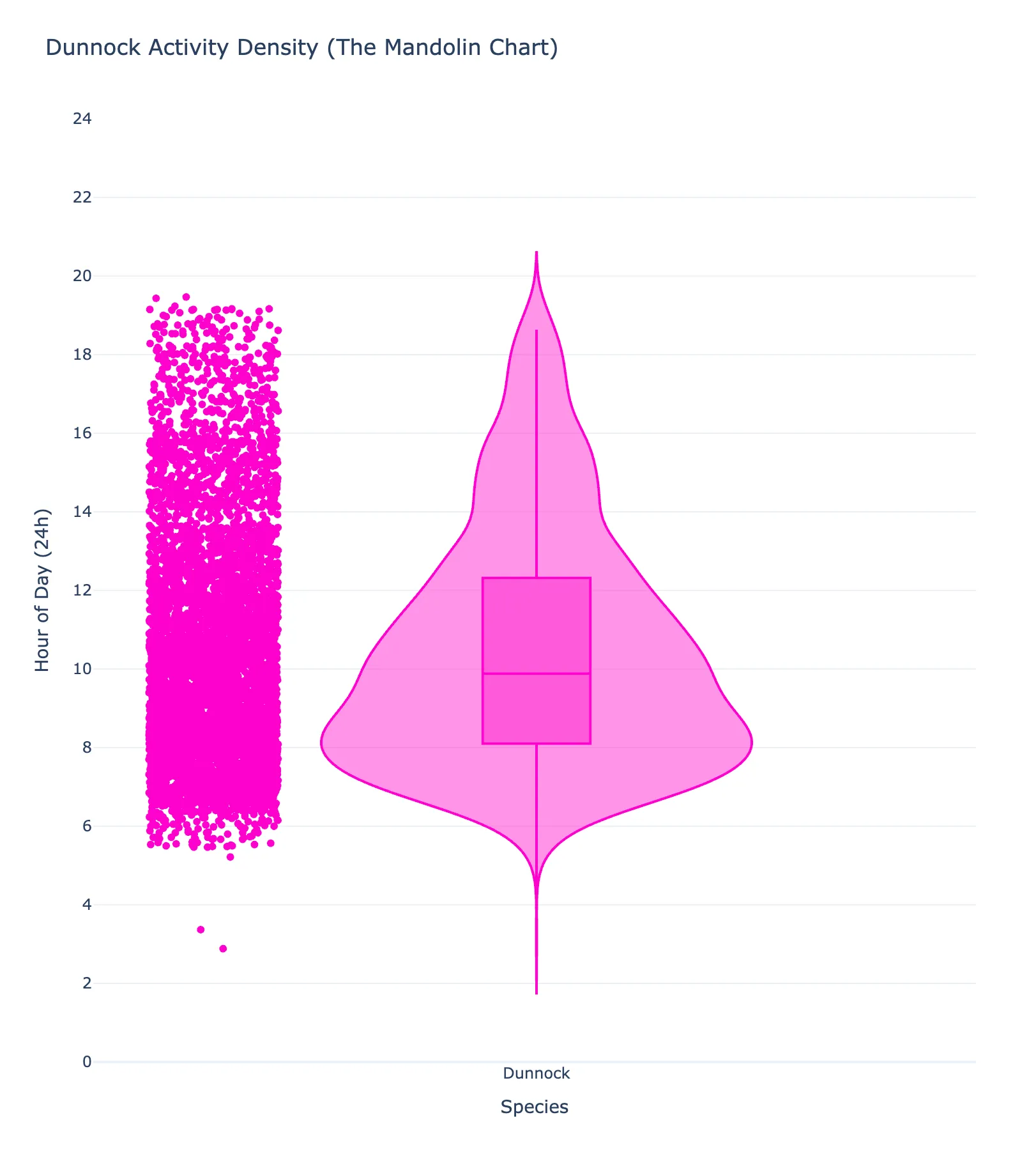 Dunnock vocal activity at the urban site