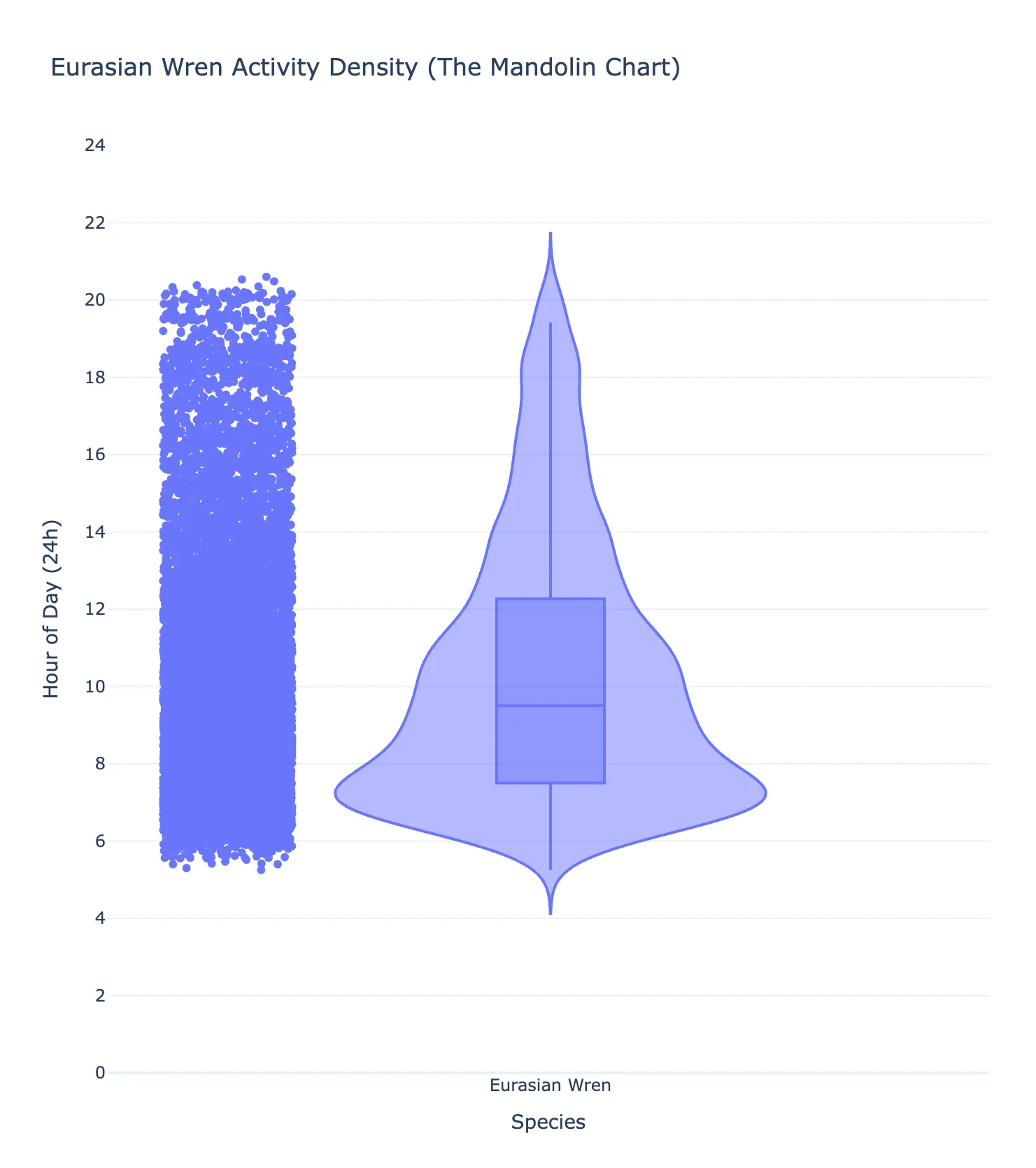 Eurasian Wren vocal activity at the rural site