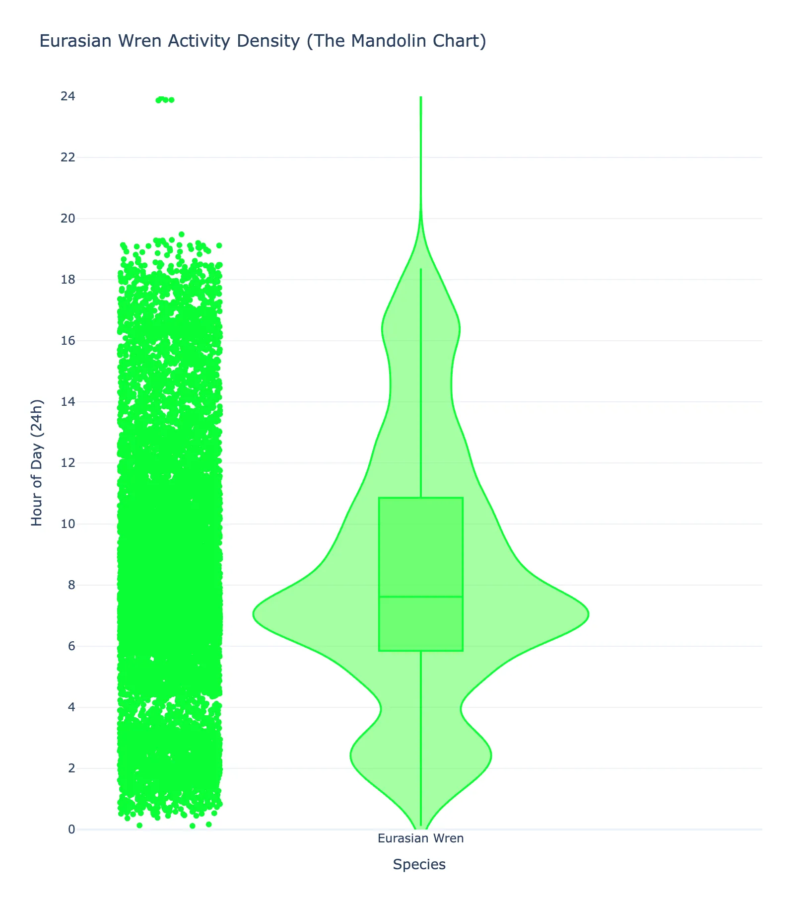 Eurasian Wren vocal activity at the urban site, with detections from midnight onwards