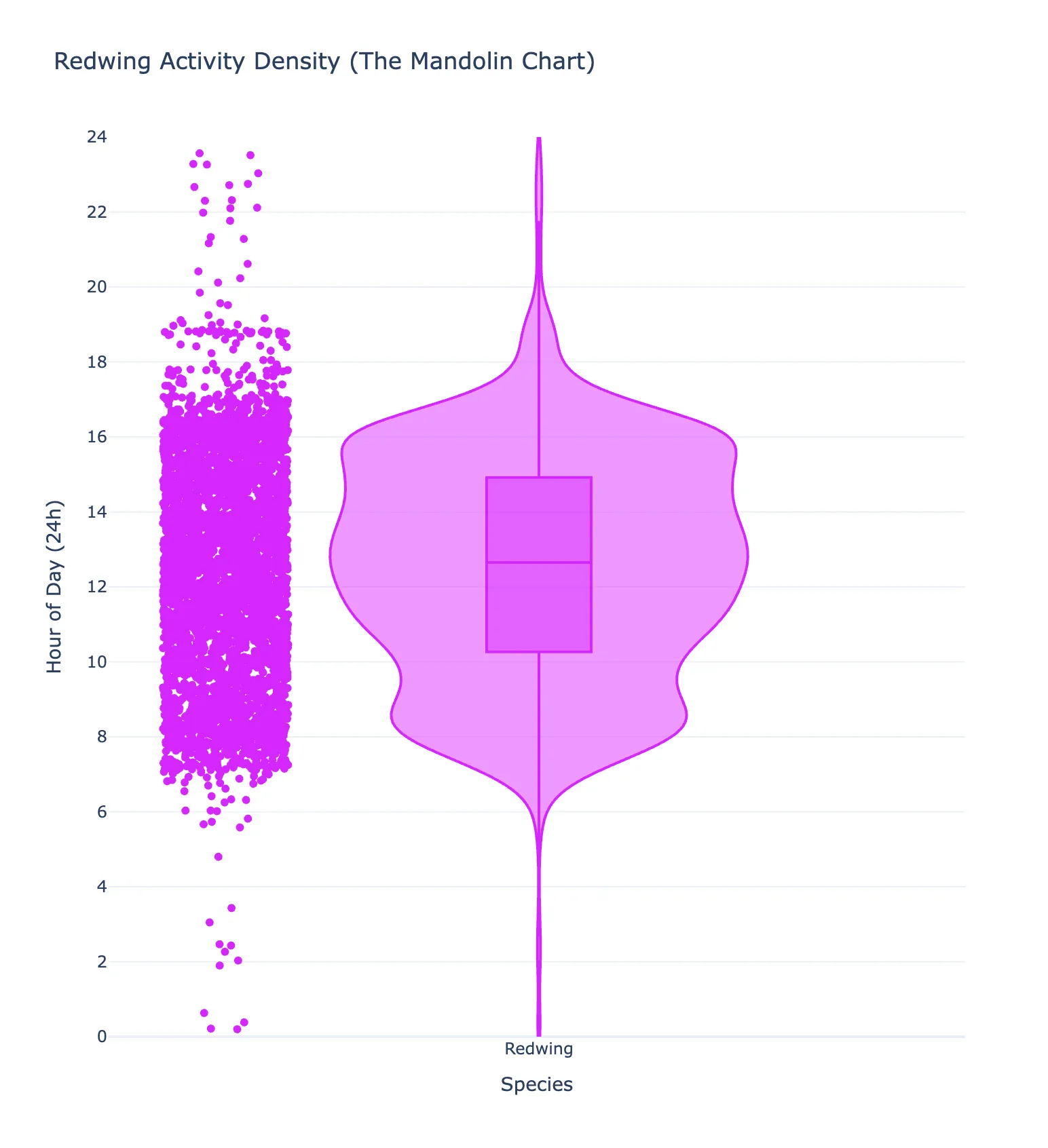 Redwing vocal activity at the rural site