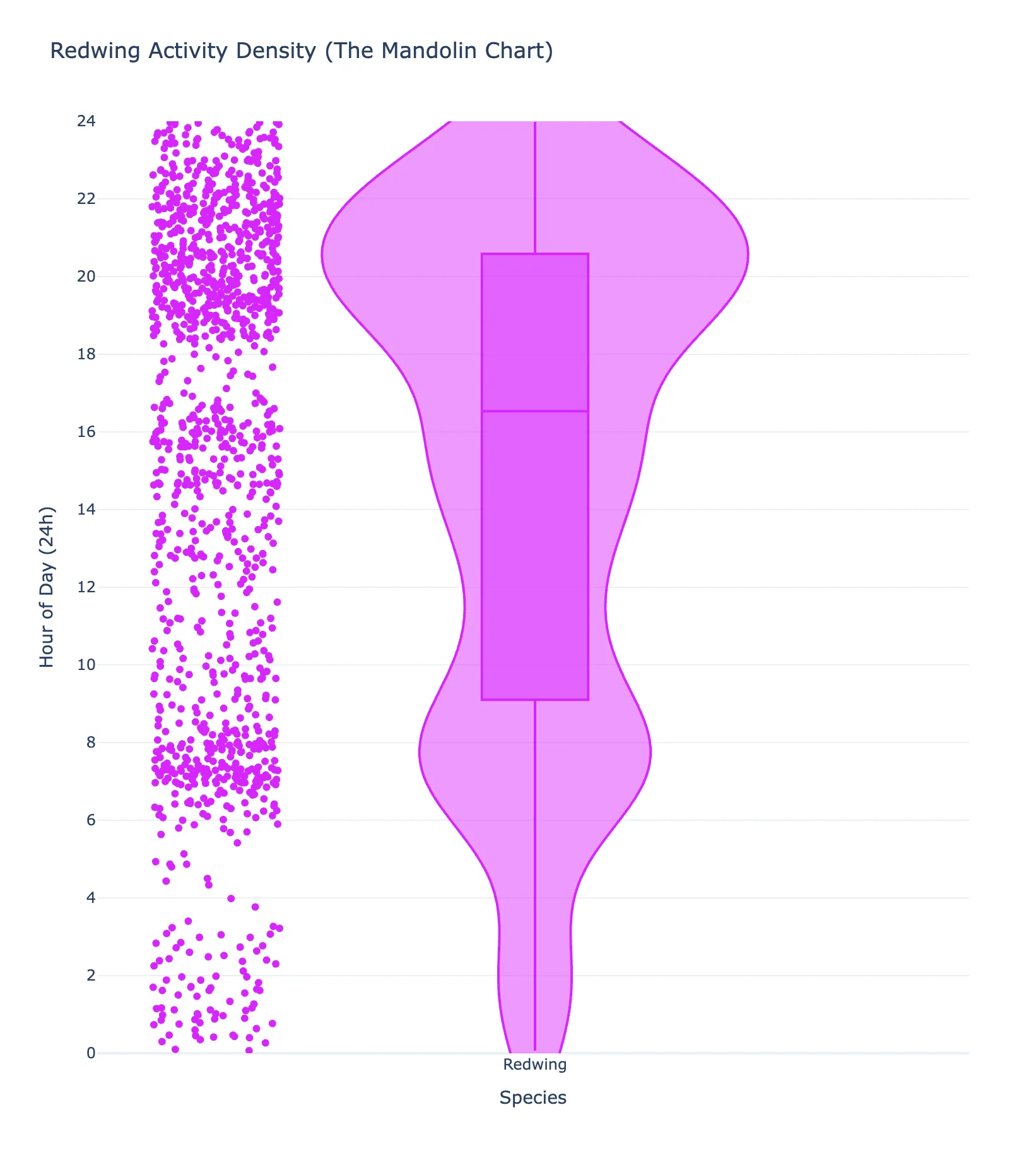 Redwing vocal activity at the urban site, heavily weighted to the evening with a long tail to 04:00